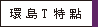 環島T特點